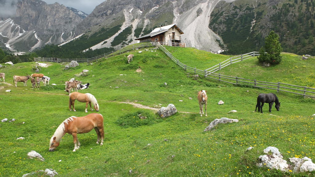 Garni Le Chalet Santa Cristina Val Gardena Bagian luar foto
