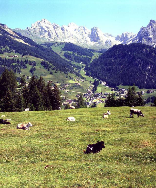 Garni Le Chalet Santa Cristina Val Gardena Bagian luar foto
