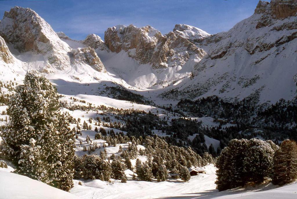 Garni Le Chalet Santa Cristina Val Gardena Bagian luar foto