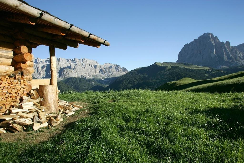Garni Le Chalet Santa Cristina Val Gardena Bagian luar foto
